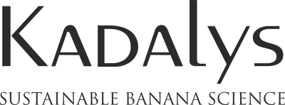 kadalys cmt